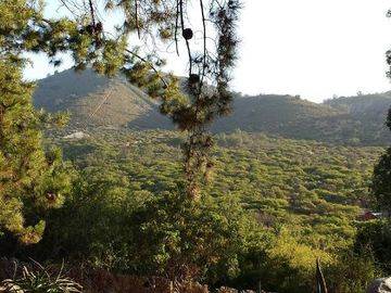 OASIS DE LA CAMPANA / RESERVA ECOLOGICA