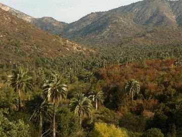 OASIS DE LA CAMPANA / RESERVA ECOLOGICA