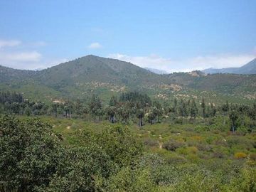 OASIS DE LA CAMPANA / RESERVA ECOLOGICA