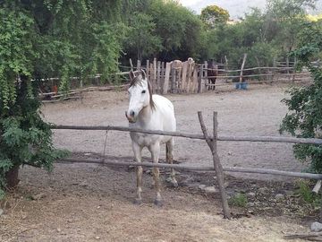 OASIS DE LA CAMPANA / RESERVA ECOLOGICA