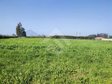 Parcela en venta 5000 mts cercada en condominio en Talagante