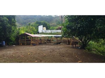 (J) Finca en venta Girardota Vereda San Diego
