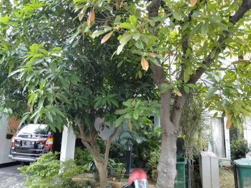 Grand Taruma Hunian Sangat Strategis tengah (Semi Furnished) Kota Karawang Akses Tol Karawang Barat