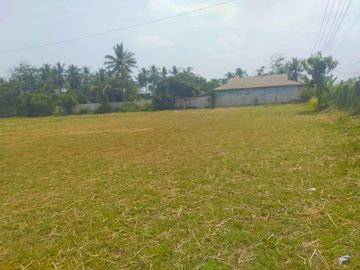 Dijual Cepat Tanah di Panimbang Banten 1.5 Ha PINGGIR JALAN