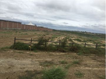 Terreno de alquiler sector  la tejedora Manta