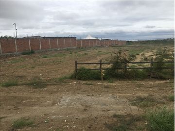 Terreno de alquiler sector  la tejedora Manta