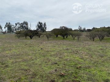 Parcela en venta en Quintero