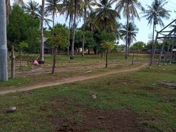 Dijual Cepat Tanah 2.000m2 Gili Trawangan Lombok