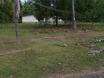 Dijual Cepat Tanah 2.000m2 Gili Trawangan Lombok
