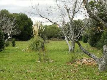 Quinta en venta en Cordoba Centro