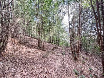 Casa en Venta en Cerro La Virgen