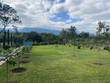 SE VENDE QUINTA EN Montemorelos, Nuevo León, MEX