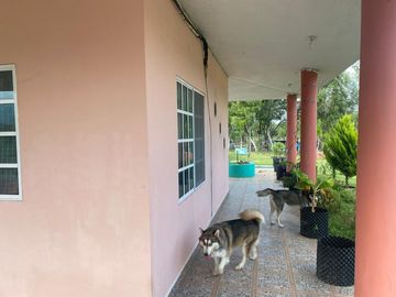 SE VENDE QUINTA EN Montemorelos, Nuevo León, MEX
