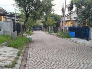 Rumah Citra Indah City Cluster Bougenvile 90m2 #1817