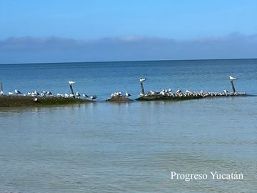 Condominio cerca del mar con terraza, asador y barra de entretenimiento