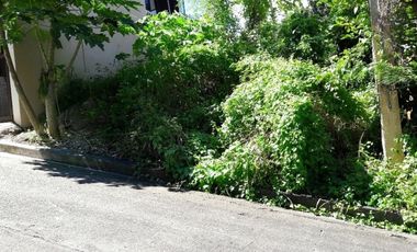 159 sqm Corner Lot for Sale in Consolacion Cebu