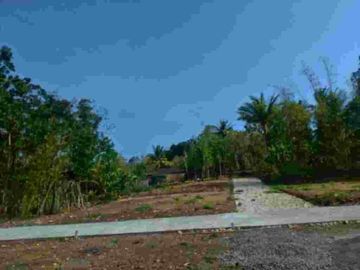 Kavling Panjatan Kulon Progo, Dekat Stadion Cangkring, SHM P