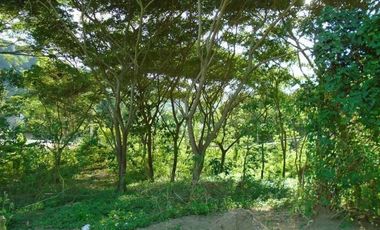 Affordable 130 Sqm Flat Lot for Sale in Greenwoods Subdivision near Talamban Cebu City