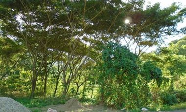Affordable 130 Sqm Flat Lot for Sale in Greenwoods Subdivision near Talamban Cebu City