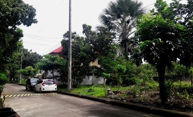 Last Remaining 152 Sqm Lot for Sale in Basak Lapu-Lapu Cebu near Gaisano Grand Mall