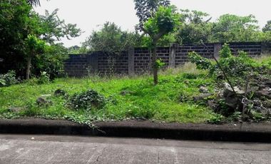 Last Remaining 152 Sqm Lot for Sale in Basak Lapu-Lapu Cebu near Gaisano Grand Mall