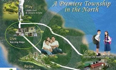 Single Detached House for Sale in Cebu - Bay-Ang Ridge Prime