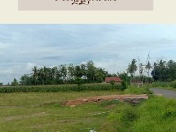 Tanah Murah Hanya di Jember, 08232377----