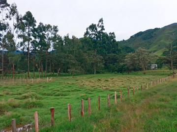 TERRENO EN OXAPAMPA, IDEAL PARA CASA DE CAMPO O CONDOMINIO