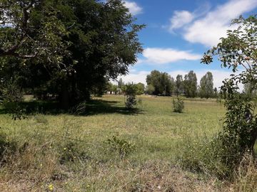 Venta - Finca - San Rafael
