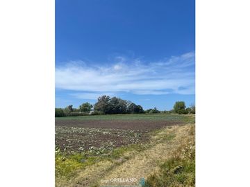 VENTA FRACCION 7 HAS 100% AGRICOLAS RUTA 226 SIERRA DE LOS PADRES