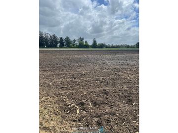 VENTA FRACCION 7 HAS 100% AGRICOLAS RUTA 226 SIERRA DE LOS PADRES