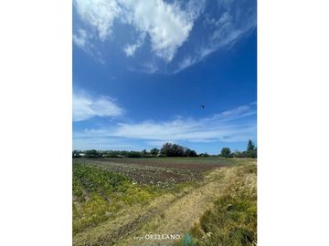 VENTA FRACCION 7 HAS 100% AGRICOLAS RUTA 226 SIERRA DE LOS PADRES