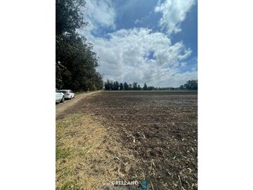 VENTA FRACCION 7 HAS 100% AGRICOLAS RUTA 226 SIERRA DE LOS PADRES