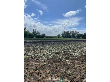 VENTA FRACCION 7 HAS 100% AGRICOLAS RUTA 226 SIERRA DE LOS PADRES