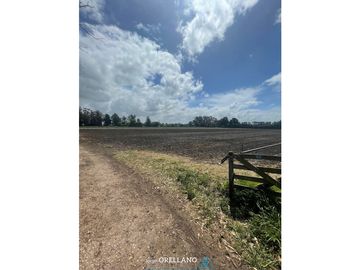 VENTA FRACCION 7 HAS 100% AGRICOLAS RUTA 226 SIERRA DE LOS PADRES