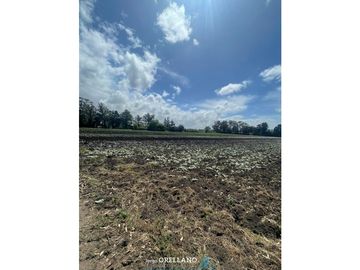 VENTA FRACCION 7 HAS 100% AGRICOLAS RUTA 226 SIERRA DE LOS PADRES