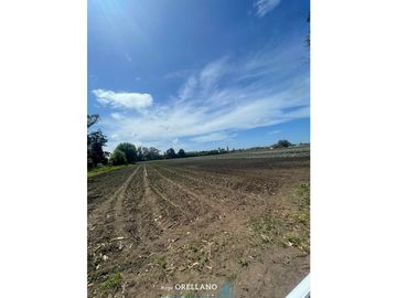 VENTA FRACCION 7 HAS 100% AGRICOLAS RUTA 226 SIERRA DE LOS PADRES