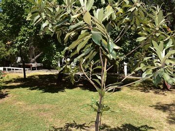 Sitio en Venta en Reina Victoria/M.Edwards