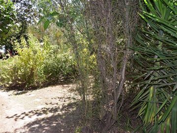 Sitio en Venta en Reina Victoria/M.Edwards