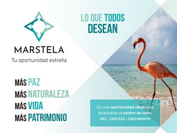 Lotes de Terreno / Kinchil, Celestún - Yucatán
