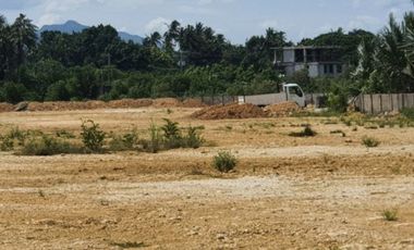 VERY AFFORDABLE 100 SQM Beach Lot for Sale in Cotcot, Liloan Cebu