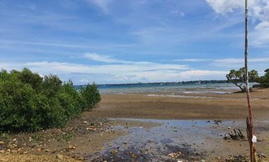 VERY AFFORDABLE 100 SQM Beach Lot for Sale in Cotcot, Liloan Cebu