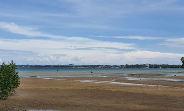 VERY AFFORDABLE 100 SQM Beach Lot for Sale in Cotcot, Liloan Cebu