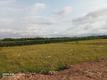 Tanah dijual di jenggawah Jember, harga terjangkau