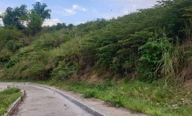 Overlooking Affordable 195 Sqm Residential Lot Only for Sale in Vista Verde Consolacion Cebu with Mountain Views