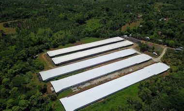 Poultry Farm Tunnel Vent Poultry