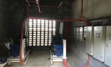 Poultry Farm Tunnel Vent Poultry