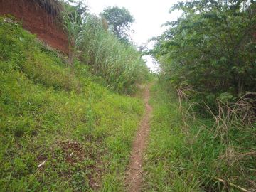 10331 M2 Tanah Jalur Kuning, di Desa Sukatani, Ngamprah, Bandung Barat