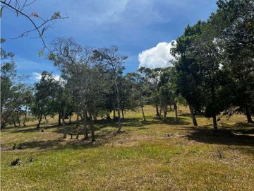 TERRENOS A LA VENTA LOS LLANITOS CAMINO AL VALLE DE ANTON