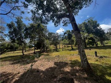 TERRENOS A LA VENTA LOS LLANITOS CAMINO AL VALLE DE ANTON